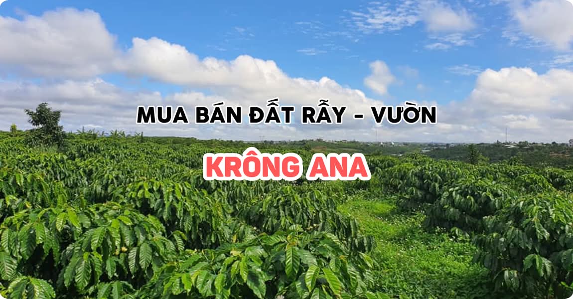Mua bán đất rẫy - vườn Krông Ana Đắk Lắk