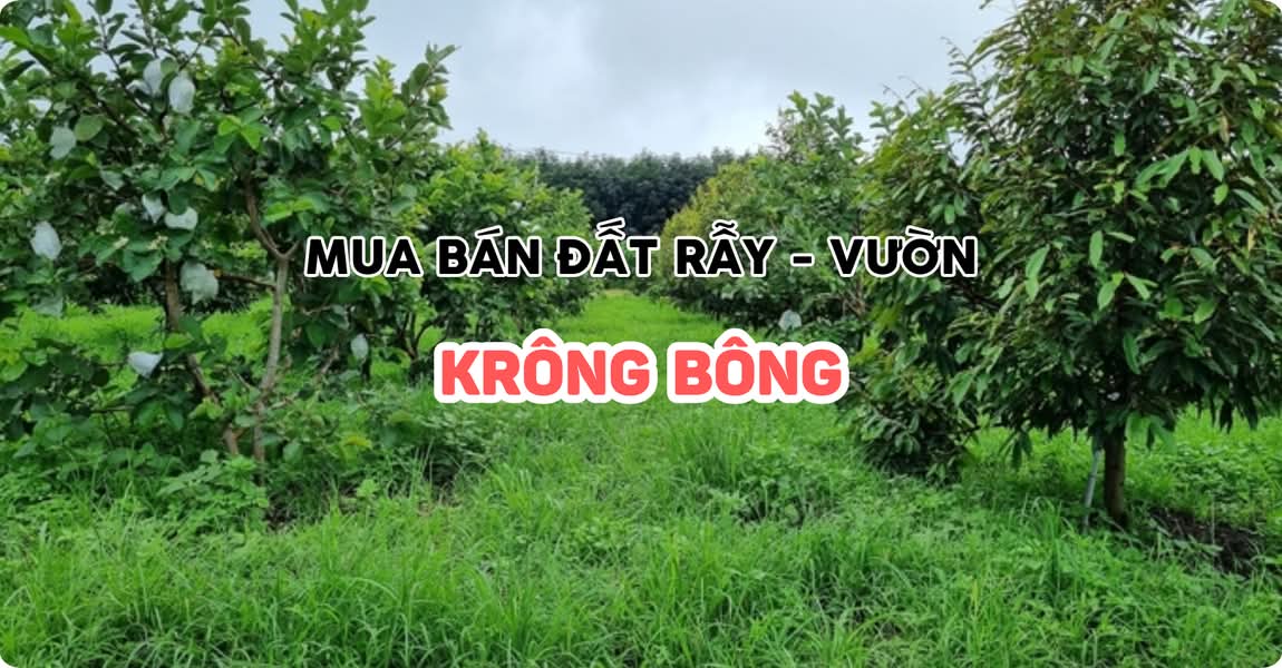 Mua bán đất rẫy - vườn Krông Bông Đắk Lắk