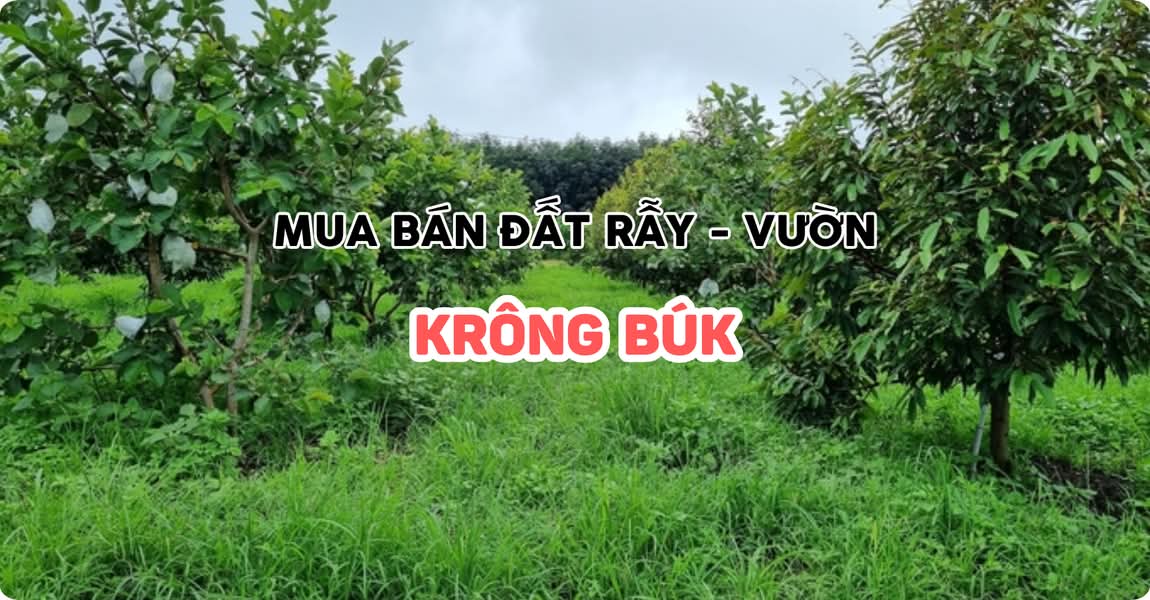 Mua bán đất rẫy - vườn Krông Búk Đắk Lắk