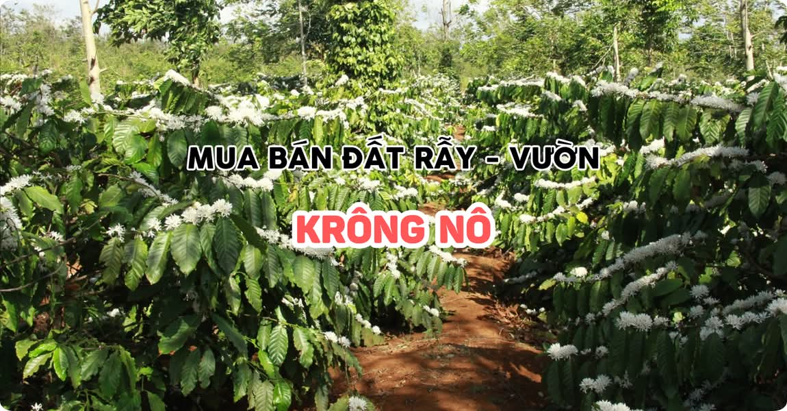 Mua bán đất rẫy - vườn Krông Nô Đắk Nông