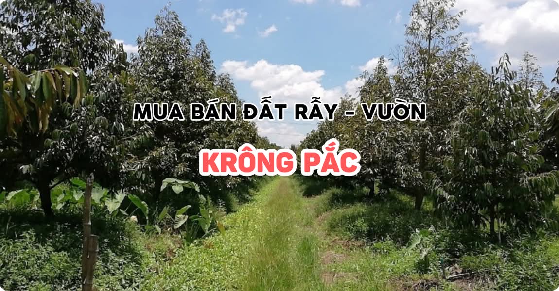Mua bán đất rẫy - vườn Krông Pắc Đắk Lắk