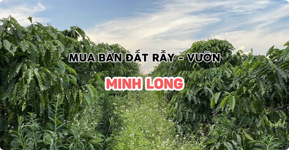Mua bán đất rẫy - vườn Minh Long Quảng Ngãi
