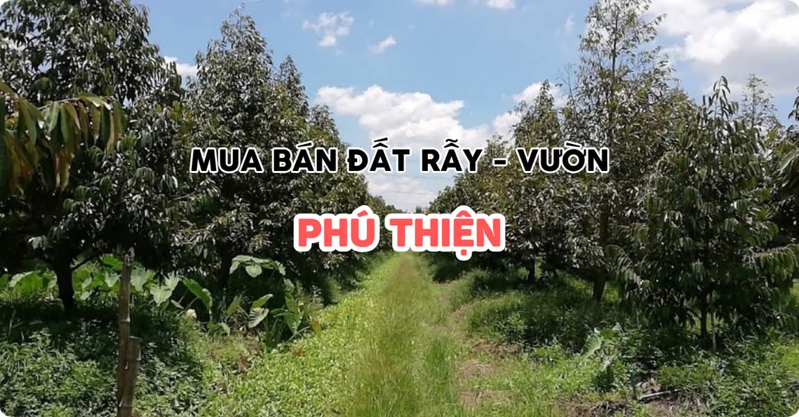 Mua bán đất rẫy - vườn Phú Thiện Gia Lai