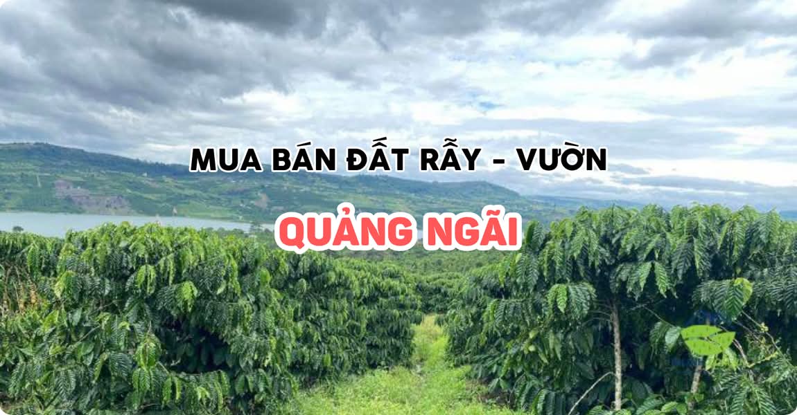 Mua bán đất rẫy - vườn Quảng Ngãi