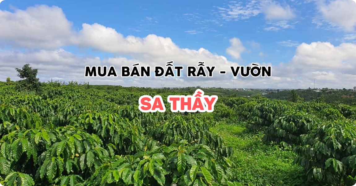 Mua bán đất rẫy - vườn Sa Thầy Kon Tum