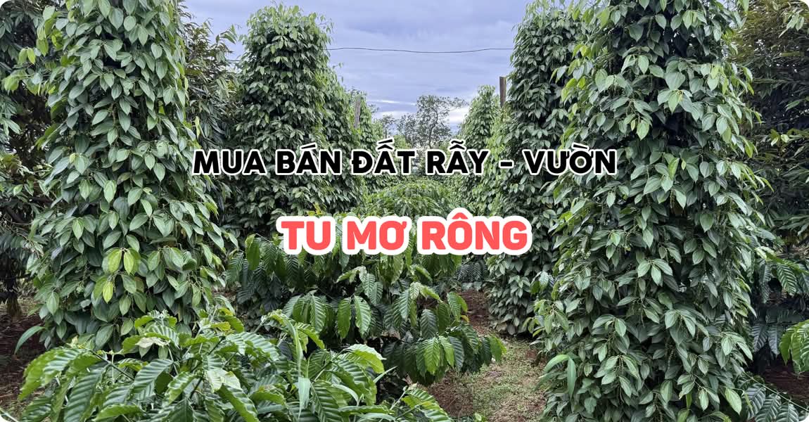 Mua bán đất rẫy - vườn Tu Mơ Rông Kon Tum
