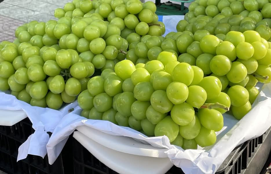 Trái Cây Nhập Khẩu Sỉ Lẻ Bình Thạnh