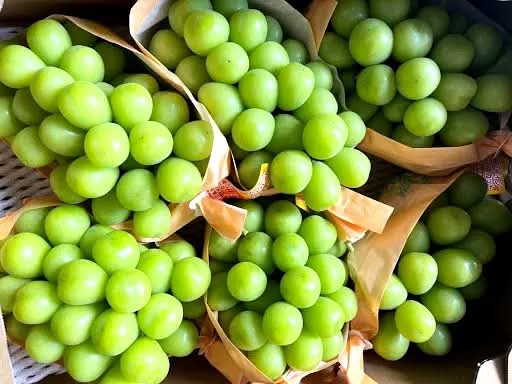 Trái Cây Nhập Khẩu Tươi Giá Rẻ Cần Giờ